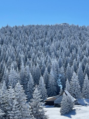 сербия, дымок от папиросы.JPG