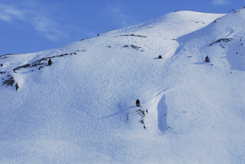 _DSC0318-1